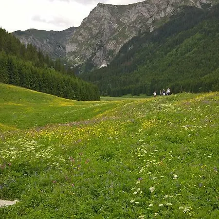 33.13.a. Apartamento Zakopane