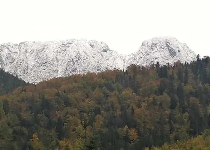 Lejlighed 33.13.a. *