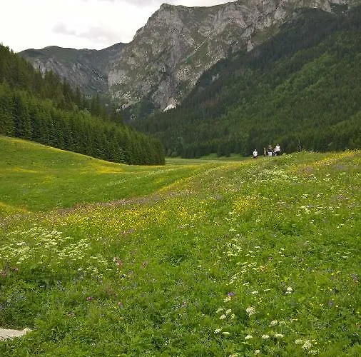 33.13.a. Lejlighed Zakopane