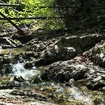 33.13.a. * Zakopane